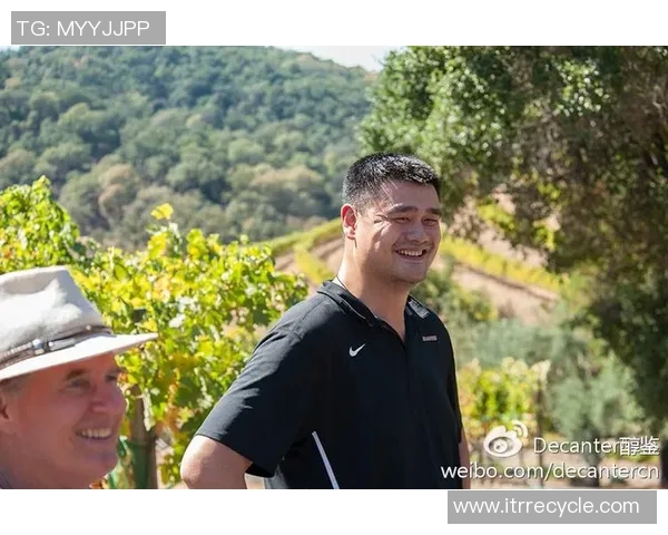 姚姓篮球明星的辉煌历程与成就探秘