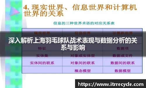 深入解析上海羽毛球队战术表现与数据分析的关系与影响