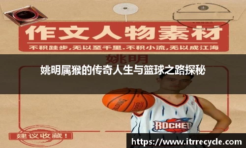 姚明属猴的传奇人生与篮球之路探秘