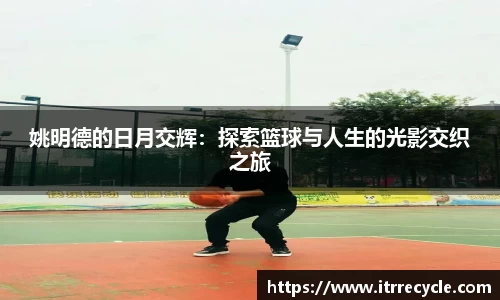 姚明德的日月交辉：探索篮球与人生的光影交织之旅